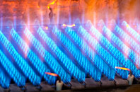 Heathercombe gas fired boilers